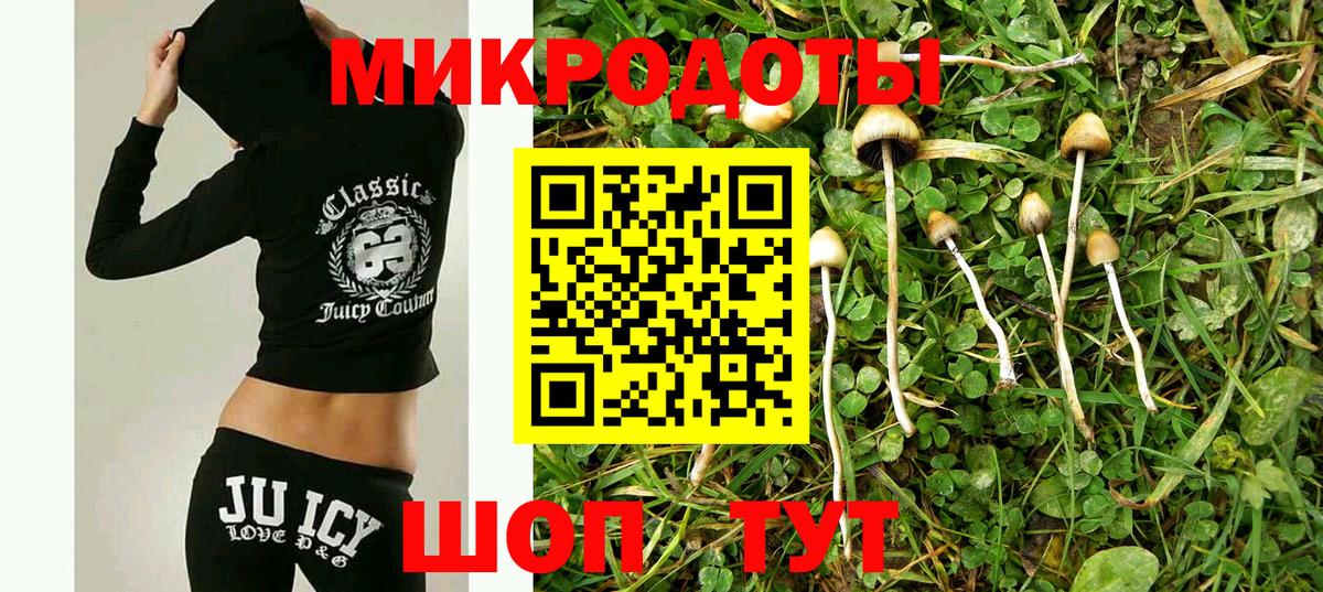 Псилоцибиновые грибы Psilocybine cubensis  Вход с VPN  Бугуруслан 